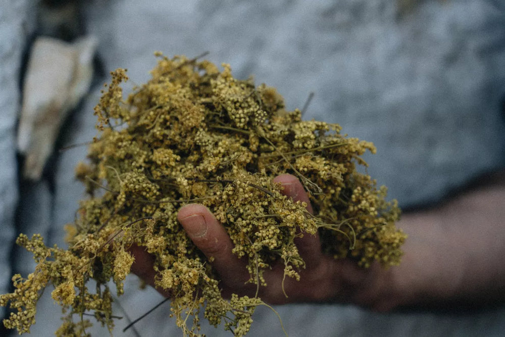BLONDE Bier ohne Alkohol oder Gluten 33cl - RUN'HARD