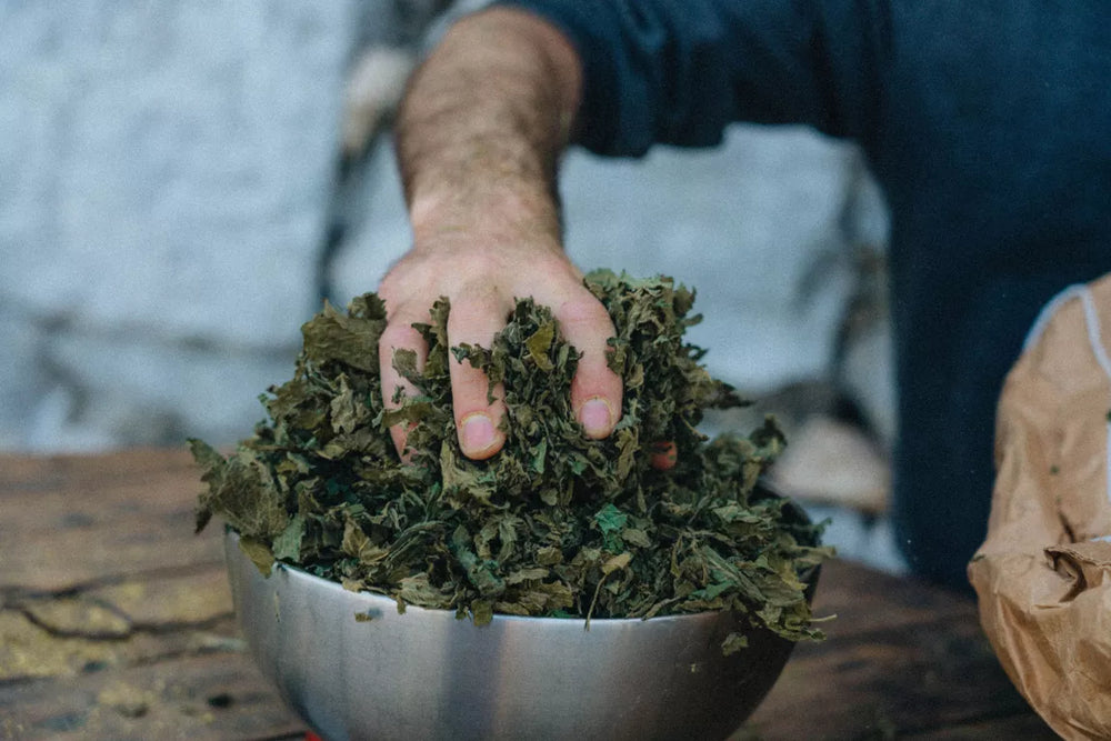 IPA-Bier ohne Alkohol oder Gluten 33cl - RUN'HARD