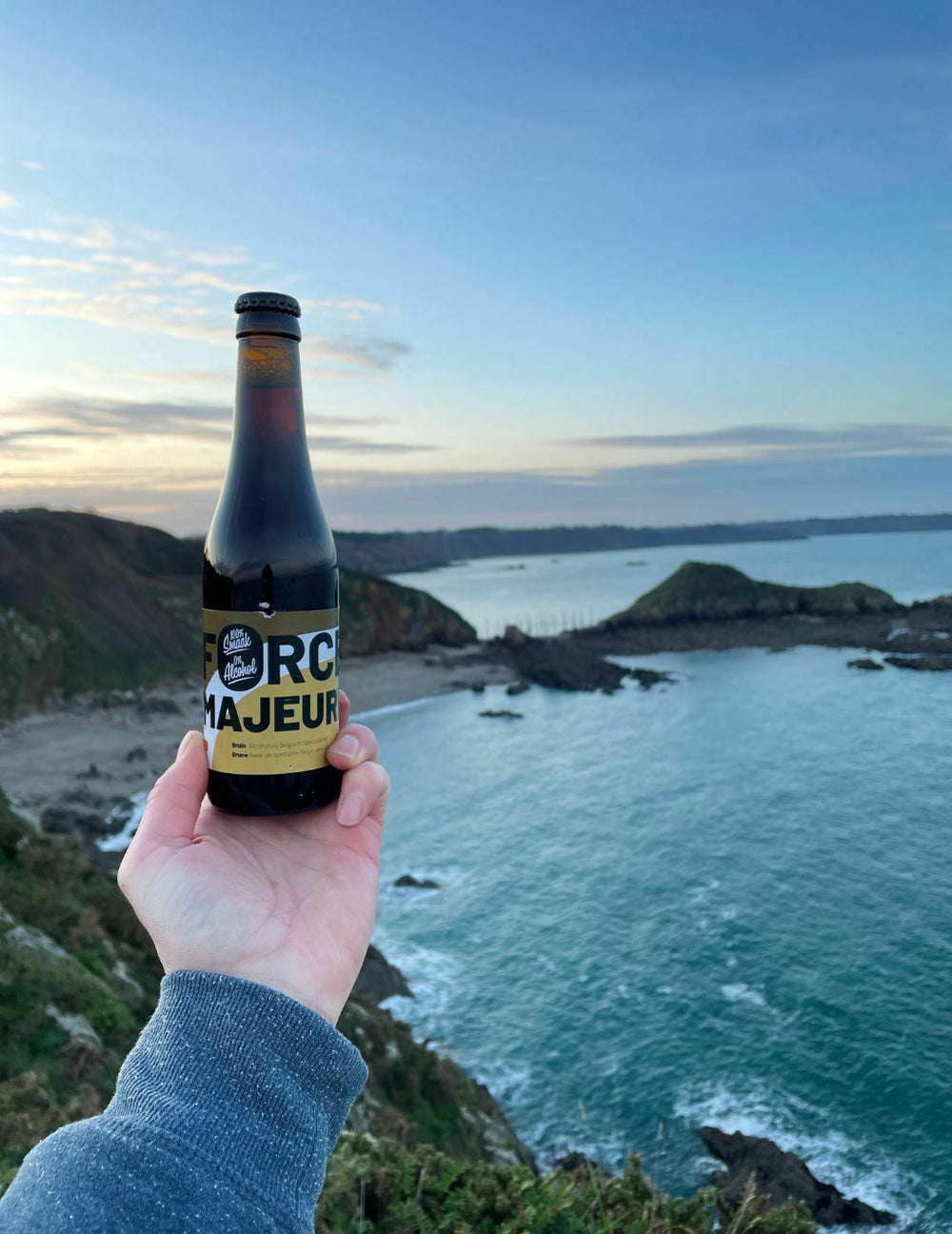 Force Majeure Dunkelbier 0,5 % ohne Alkohol