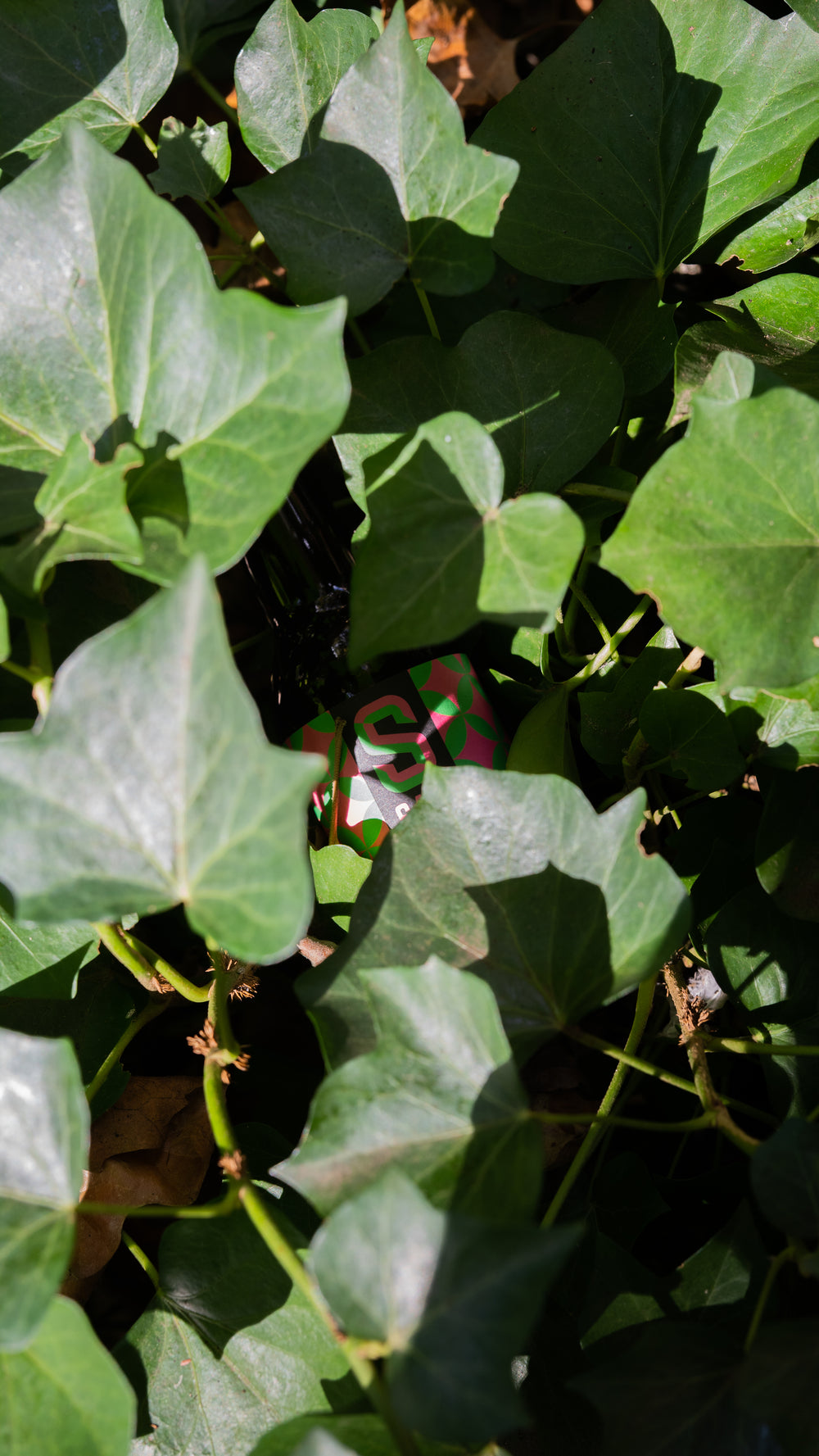 SAM Rotes Früchtebier ohne Alkohol 0,5% - 33 cl Flasche