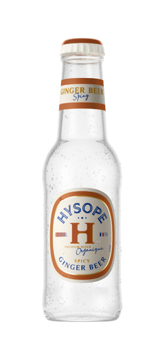 Ginger Beer würzig Bio Ysop 20 cl Sanzalc, alkoholfreier Keller für hemmungslose Erwachsene