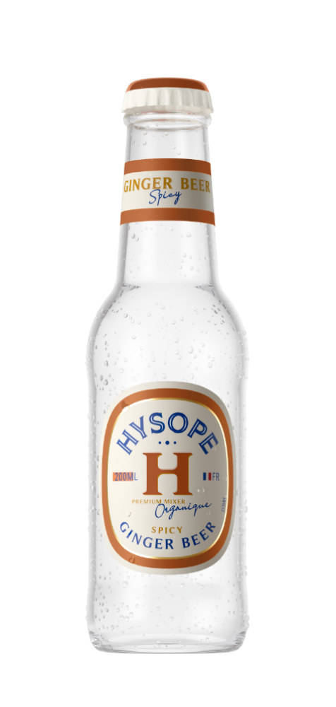 Ginger Beer spicy Bio Hysope 20 cl Sanzalc, cave sans alcool pour adultes décomplexés